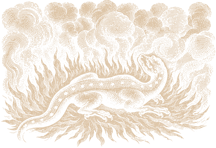 Engraved salamander lying unburned in flames